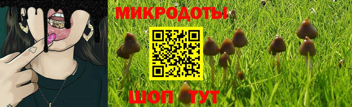 Псилоцибиновые грибы прущие грибы Советский