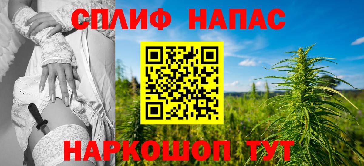 Канабис конопля Советский